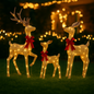 Familia de Renos de Navidad con 210 Luces LED – 137 cm, 114 cm y 71 cm